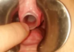 Die Brünette Roxy Raye wird von einem hübschen schwarzen Mann hamster pornofilme hart gefickt